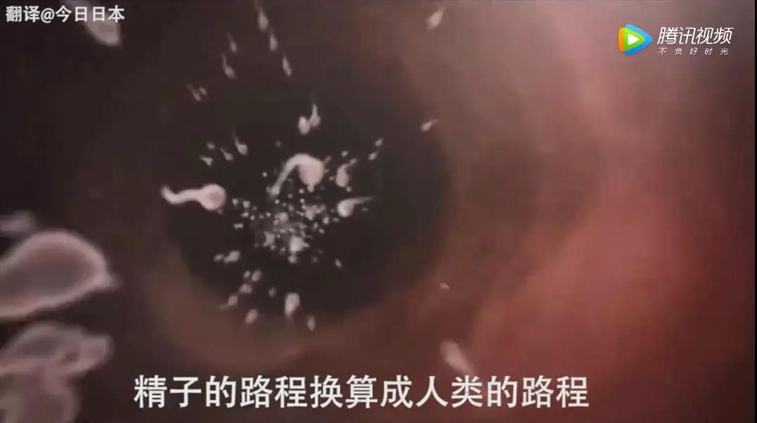 微信图片_20190409163145.jpg