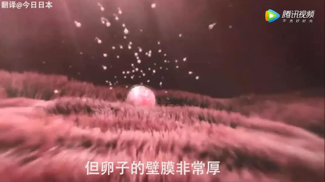 微信图片_20190409163205.jpg
