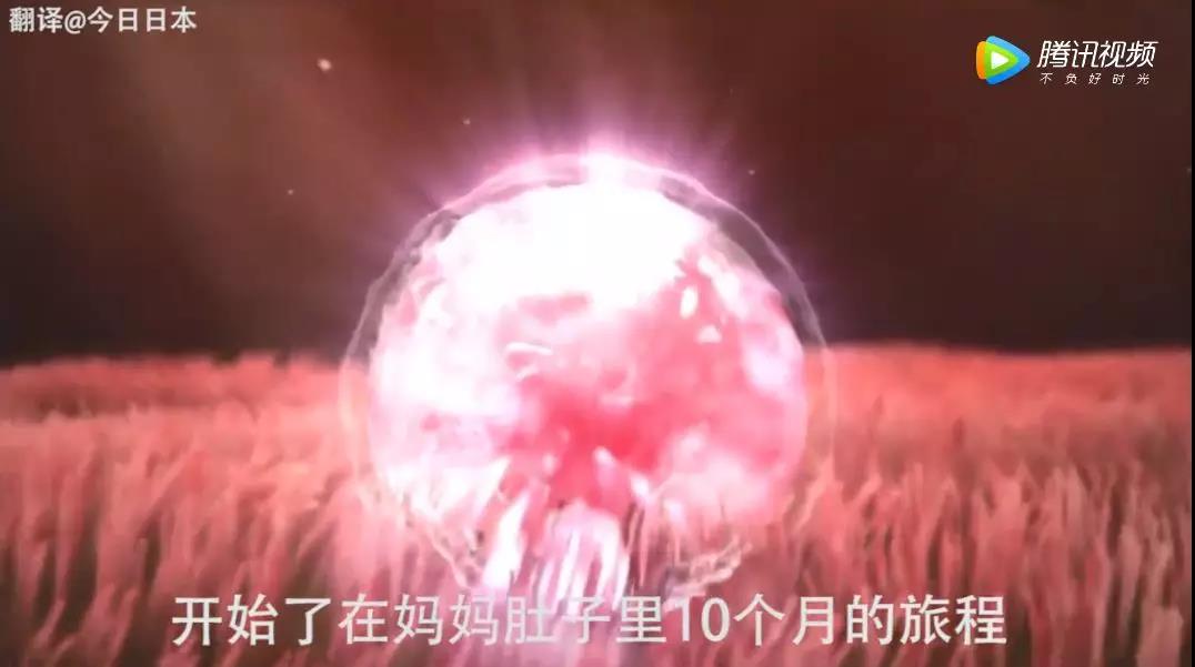 微信图片_20190409163213.jpg