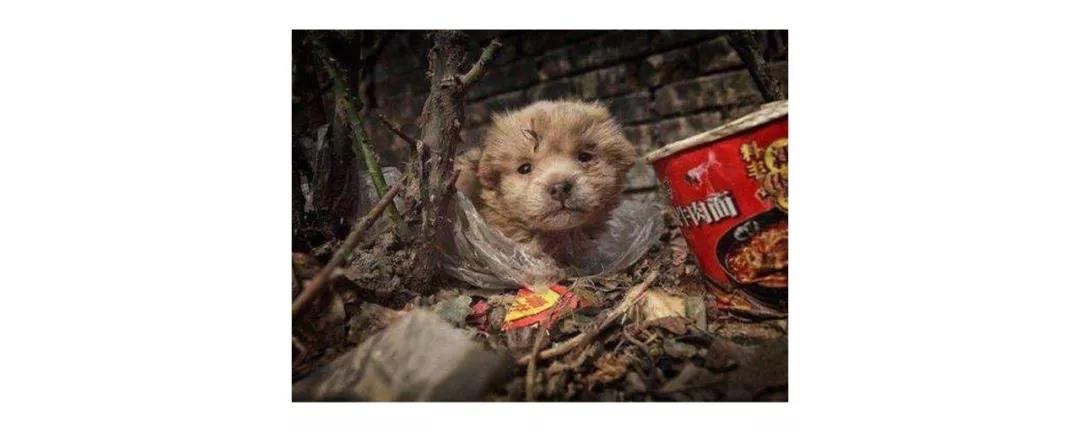 微信图片_20190423155416.jpg