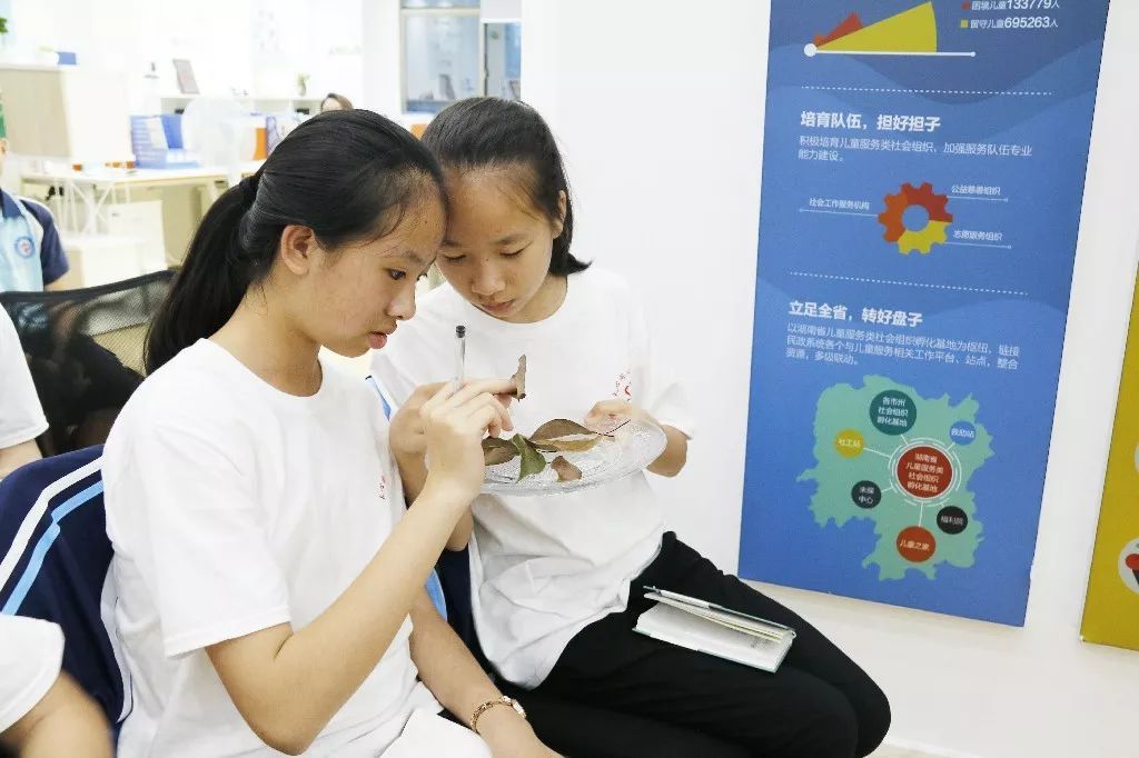 微信图片_20190802165815.jpg