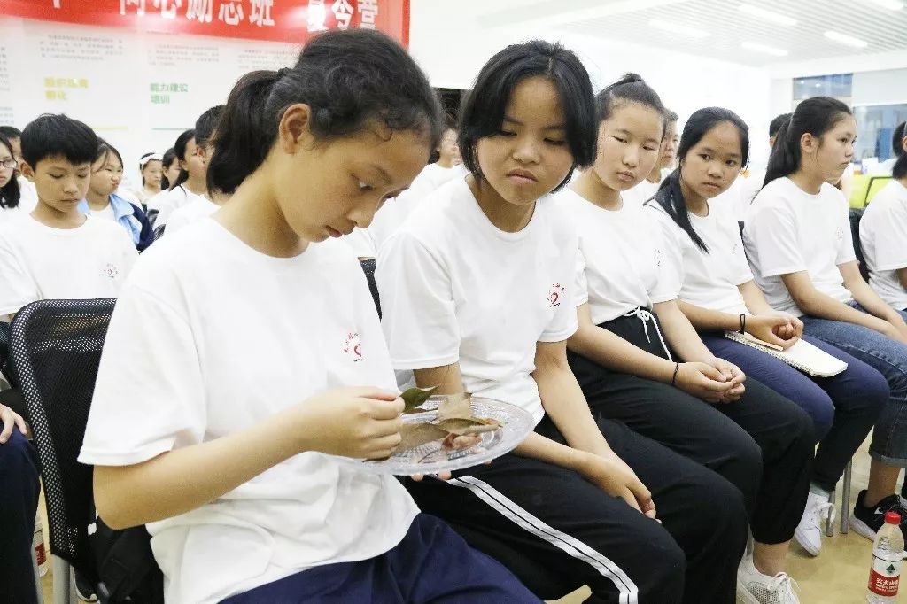 微信图片_20190802165914.jpg