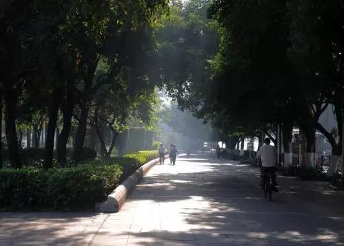 微信图片_20190806162003.jpg