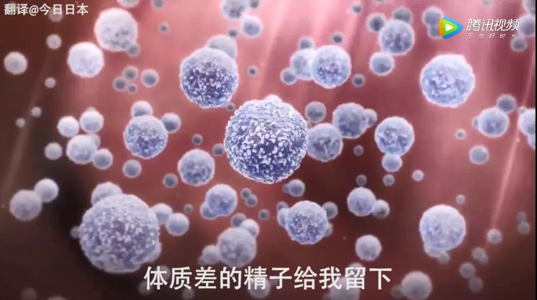 性教育学习|这个性教育短视频火了！